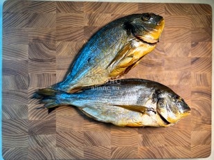 Главная: Дорадо х/к